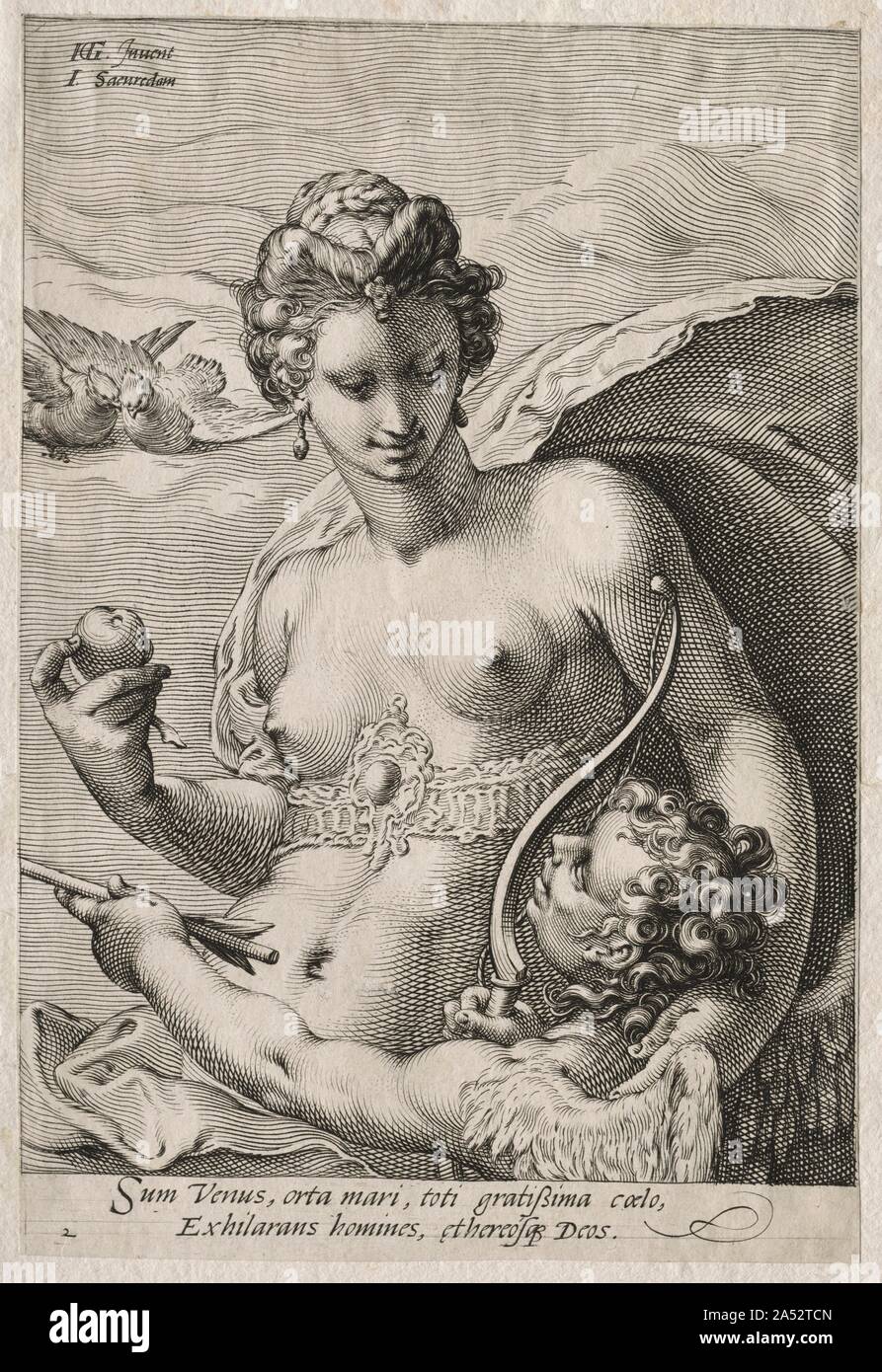 Venus and Cupid, c. 1595. Goltzius popularized a style of engraving with mesmerizing patterns of curving, tapering, and crisscrossing lines; it was especially appreciated in the late 1500s. Designed for his pupil Saenredam to engrave, these prints depict the three goddesses from the tale of  The Judgment of Paris , in which each claimed the golden apple to be awarded to the most beautiful. Jupiter deferred judgment to Paris, a mortal esteemed for his fair-mindedness. Juno and Athena tried to bribe Paris with an empire and skill in war, but Venus made him an offer he could not resist: Helen, th Stock Photo