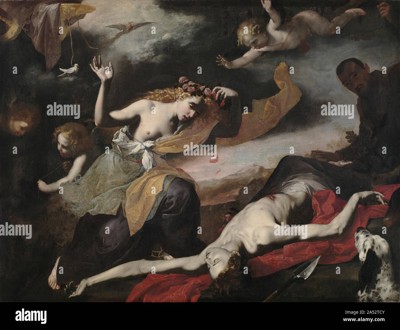 Venus Discovering the Dead Adonis, c. 1650. Venus, the goddess of love,  urged her mortal lover Adonis to hunt only the easiest game. Yet he  insisted on pursuing boar, which eventually gored