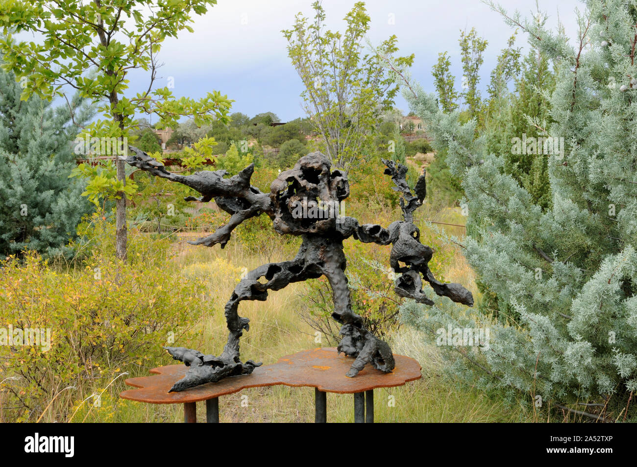Bronze sculptures in the Santa Fe Botanical Garden. They formed part of an exhibition entitled 'Human Nature.' This work is by Jonathan Hertzel. Stock Photo