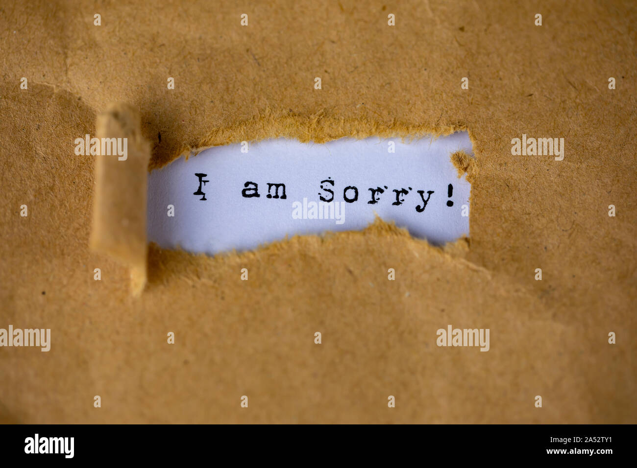 The text, i am sorry, appears behind torn brown paper Stock Photo