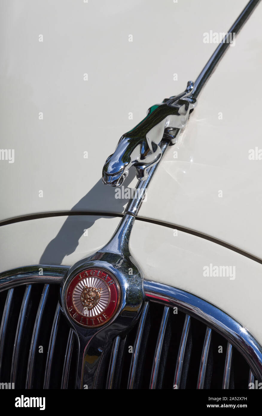 Hood ornament of a Jaguar car Stock Photo Alamy