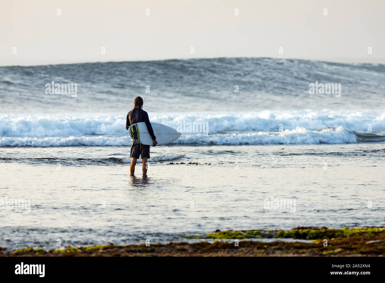 Surfer looking at wave Stock Photo