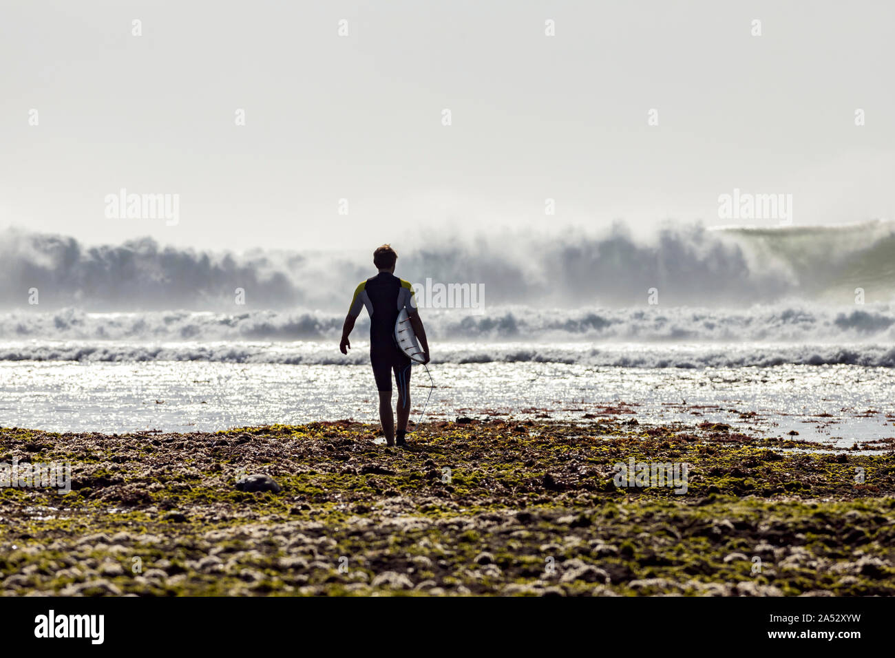 Man with surfboard walking on the beach Stock Photo
