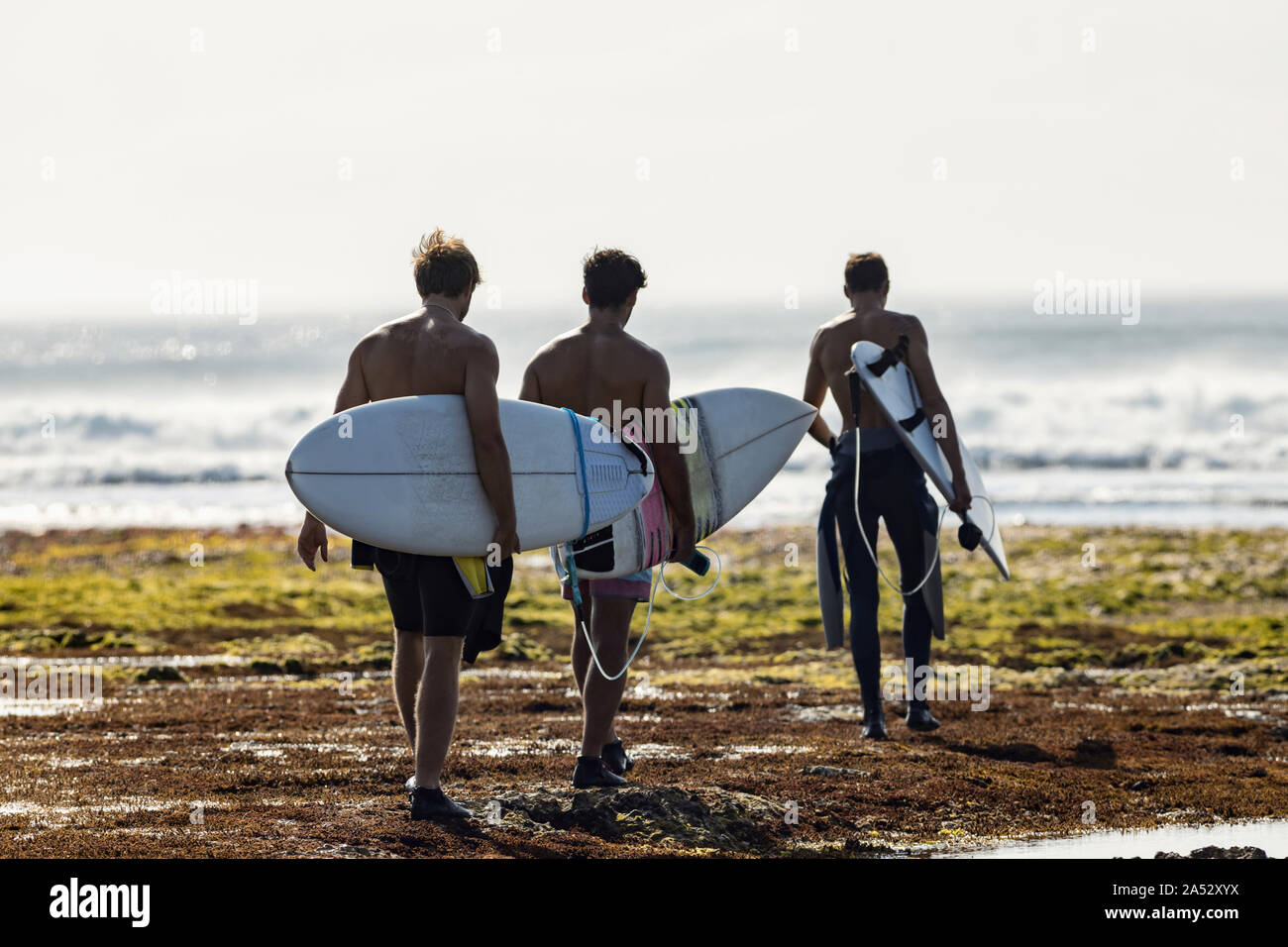 Group of men with surfboard walking on the beach Stock Photo