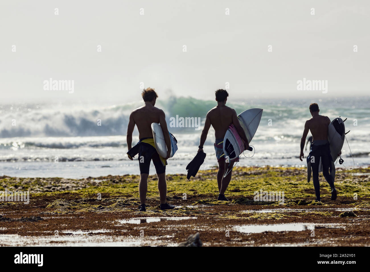 Group of men with surfboard walking on the beach Stock Photo