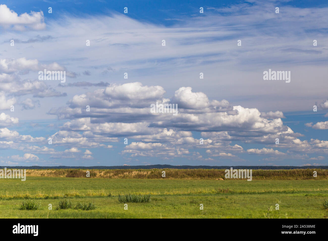 Green meadow and blue sky with fluffy clouds, summer time landscape view of Swedish countryside, Scandinavia. Stock Photo