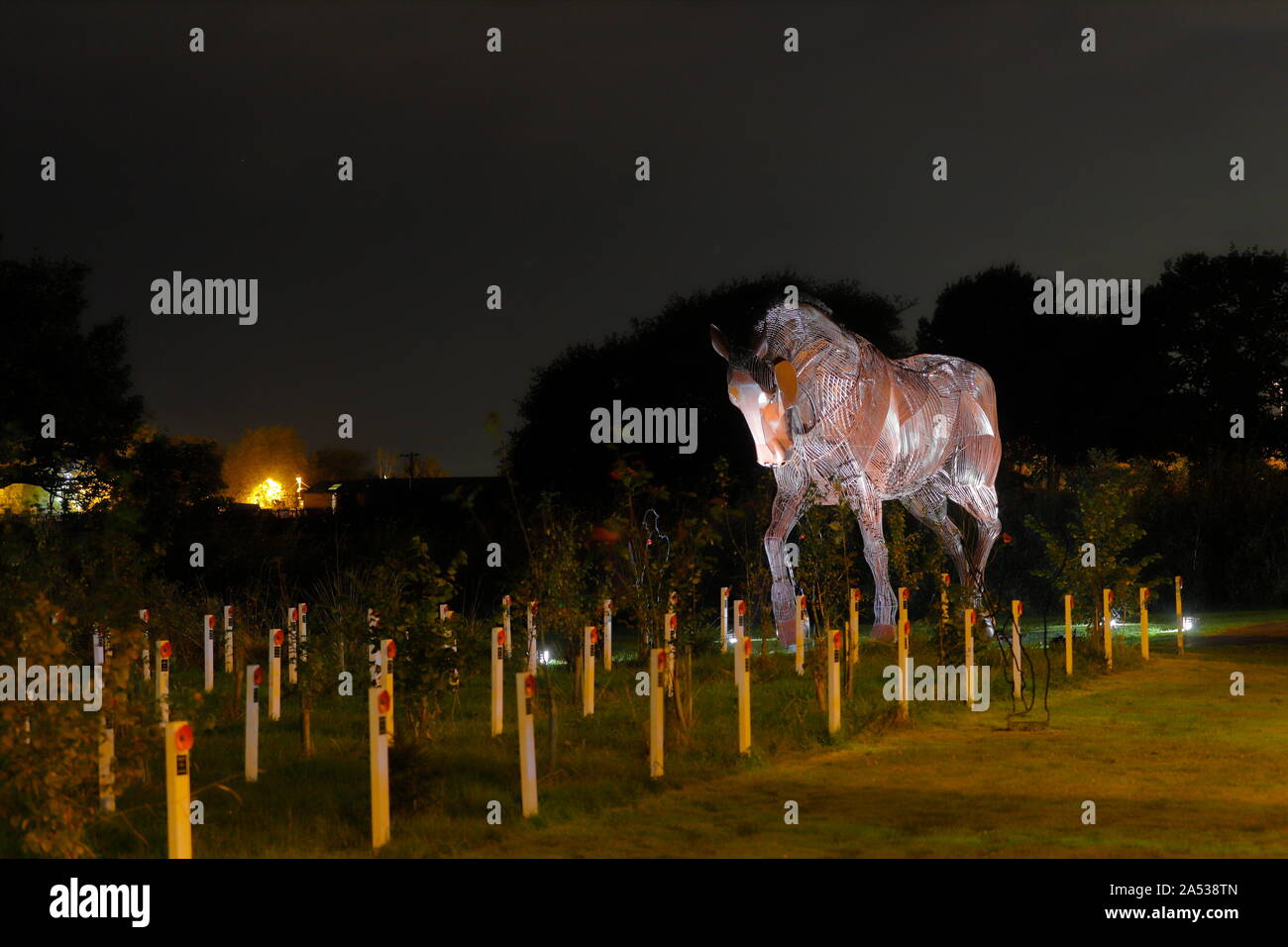 War Horse sculpture at Mill Pond Meadow in Featherstone, is now ...