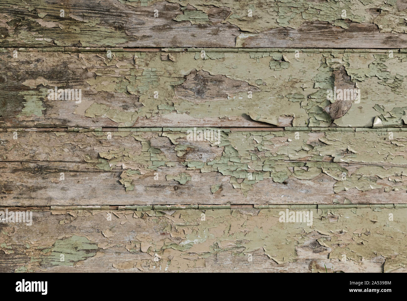Peeling paint on wood panels Stock Photo Alamy