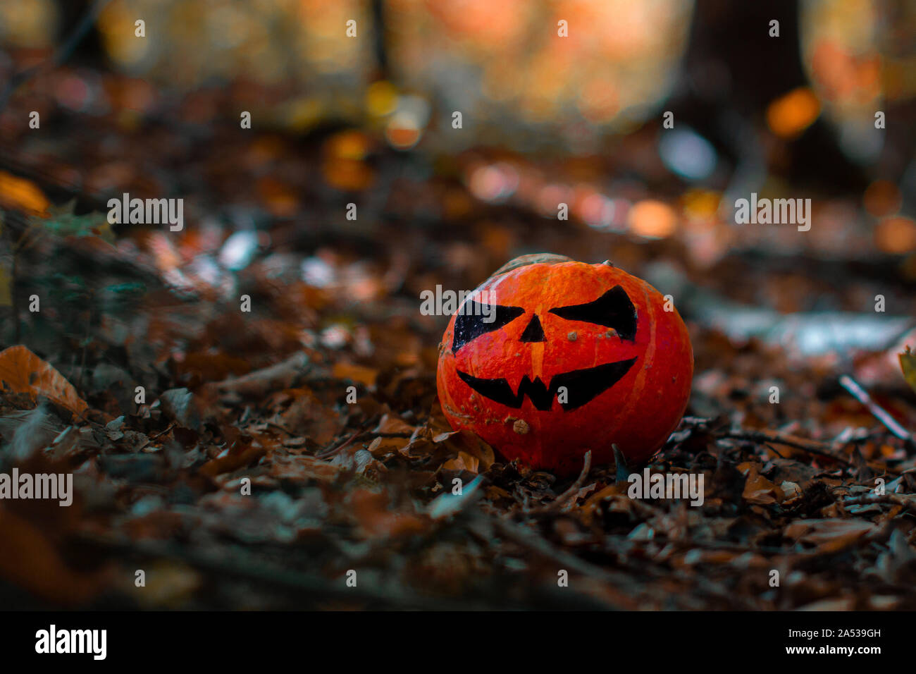 Scary Pumpkin Painting Ideas - Pumpkin Ideas Halloween Pumpkin Carving Ideas - We did not find results for: