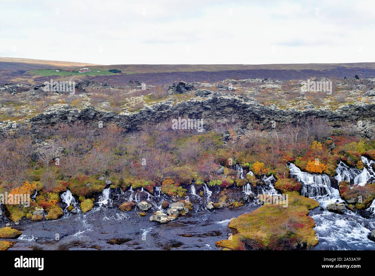 Reykholt, Iceland. The Hraunfosser waterfall. Multiple water flows from the mountains through lava and under moss and lichen and into the Hvita River. Stock Photo