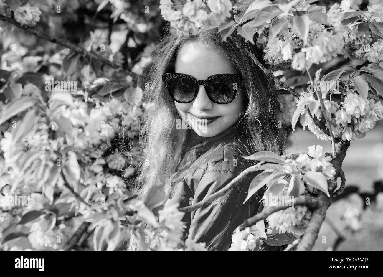 Enjoy smell of tender bloom. Sakura flower concept. flower and