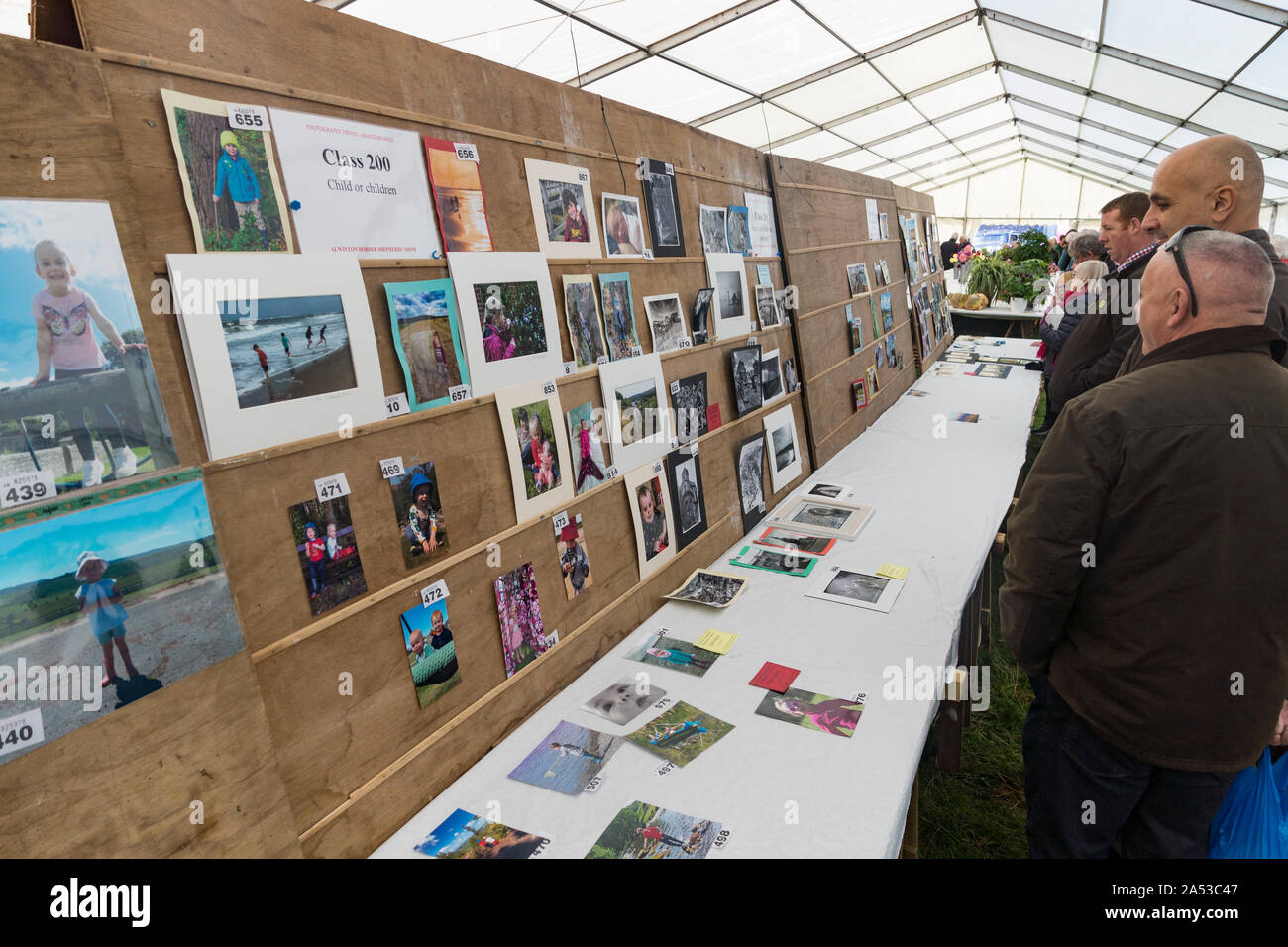 Alwinton Show (Northumberland) 2019 photography competition in tent Stock Photo