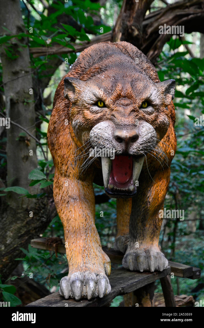 Sabre tooth tiger hi-res stock photography and images - Alamy
