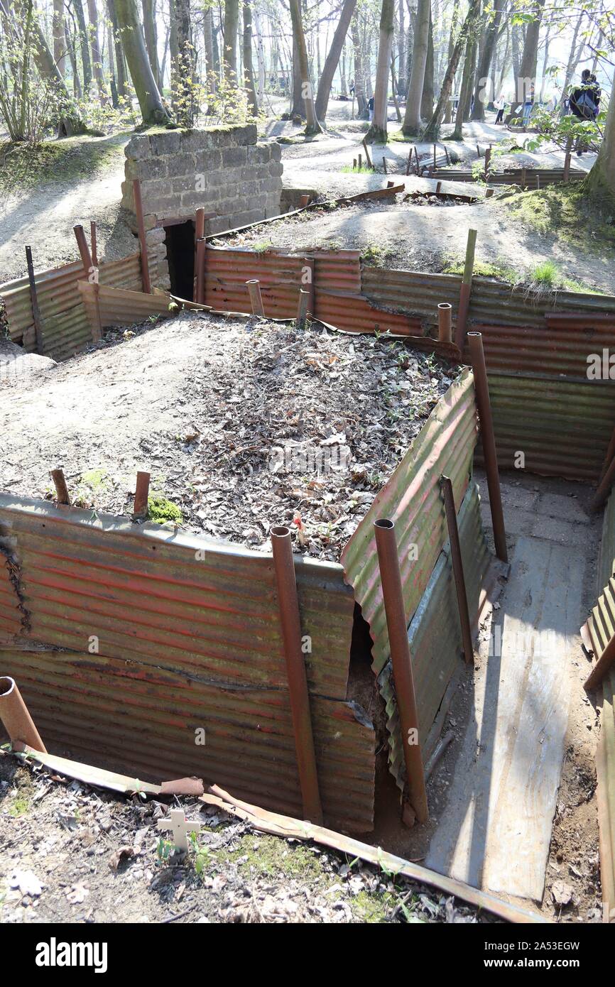 Trenches at Sanctuary Wood First Worls War Museum at Hill 62 near Ypres / Ieper Flanders Stock Photo