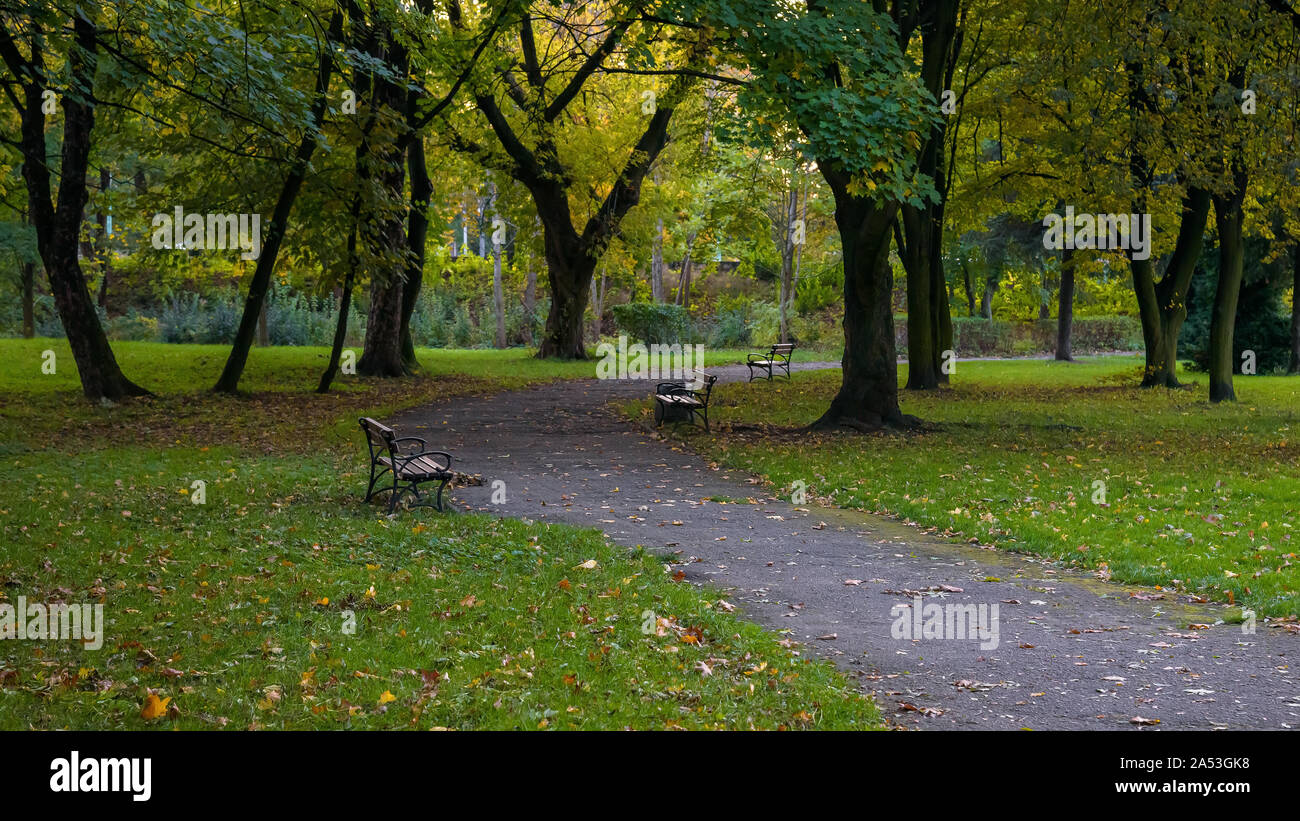 Benches at the alley in the park at autumn evening Stock Photo - Alamy