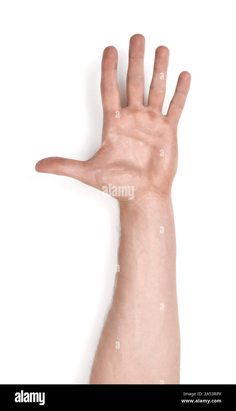 Рука вытянутая вперед. Протянутые ладони. Рука вытянута вверх. Ладонь вверх. Рука тянется.