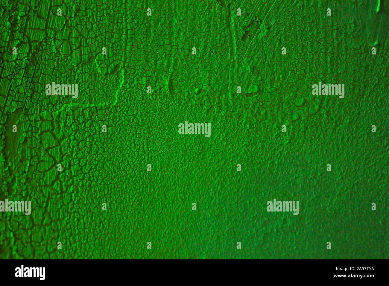 Light Green Wall Texture