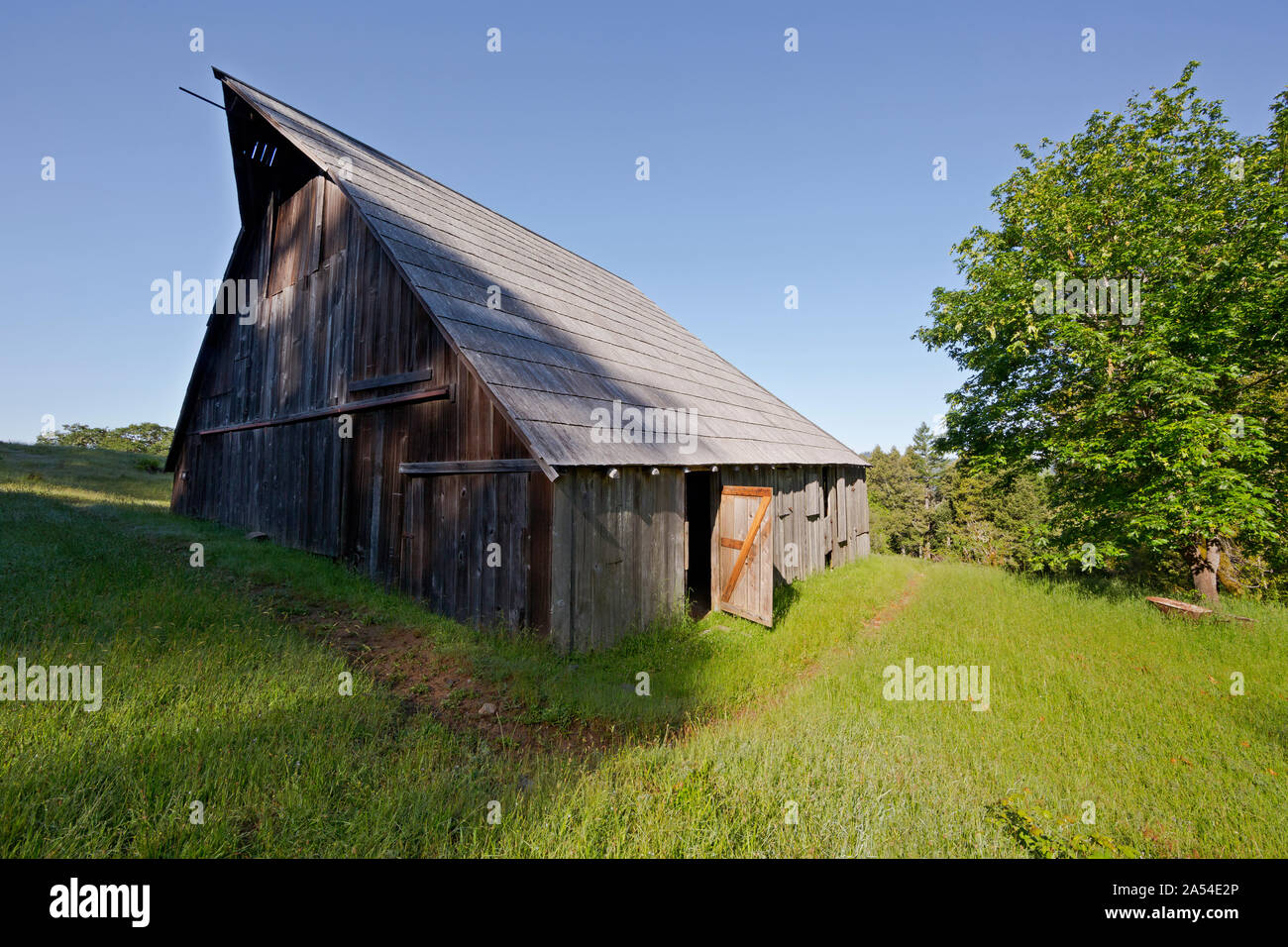 CA03722-00...CALIFORNIA - Old barn at Lyons Ranch, an old sheep ranch in the Bald Hills, now part of the Redwoods National Park. Stock Photo