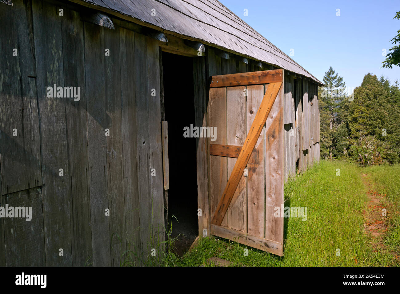 CA03723-00...CALIFORNIA - Replacement, replica, barn door at Lyons Ranch on the Bald Hills area of Redwoods National Park. Stock Photo