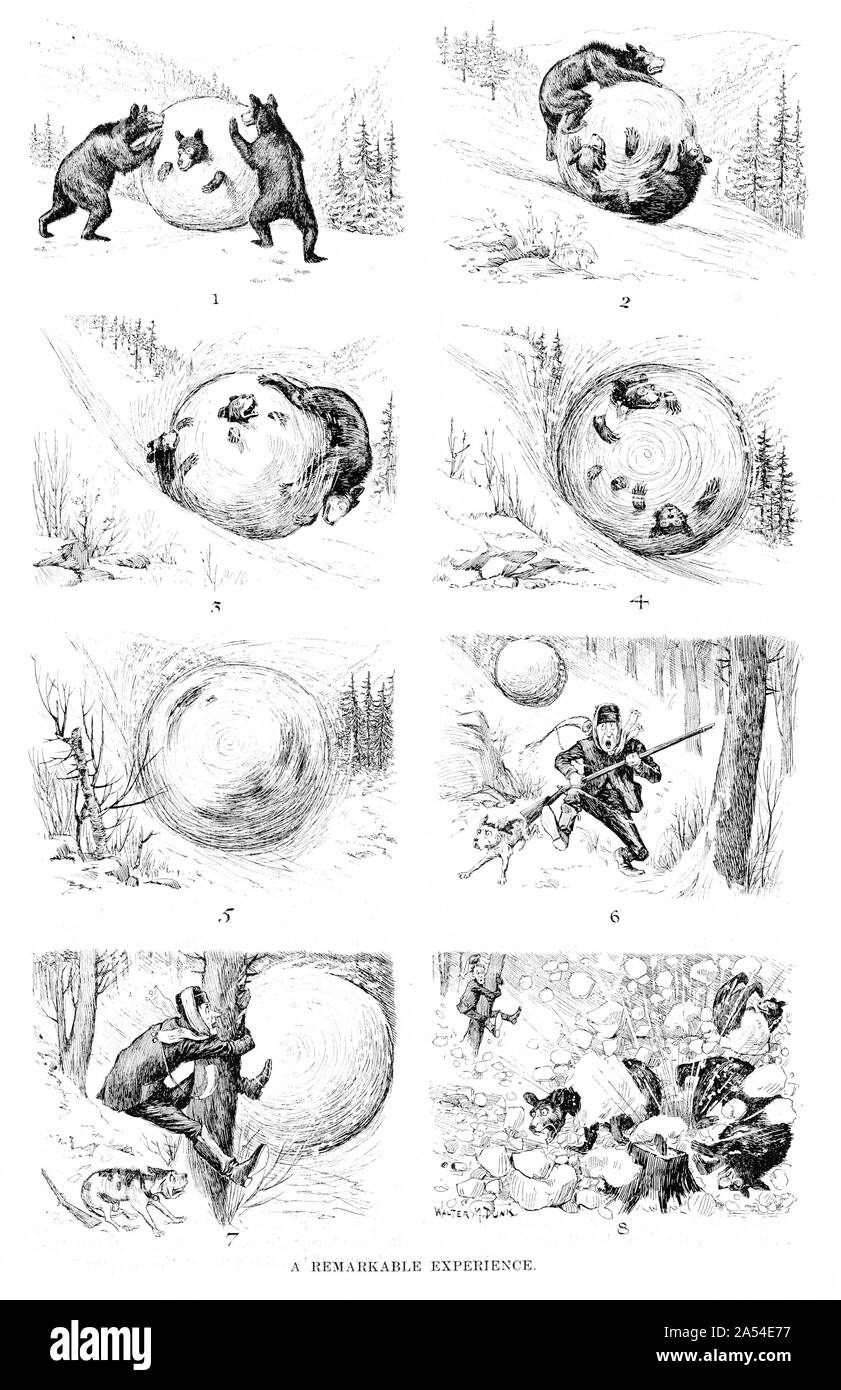 Engraving of a comic strip showing some bears caught in a giant snowball. From Harper's magazine 1895 Stock Photo