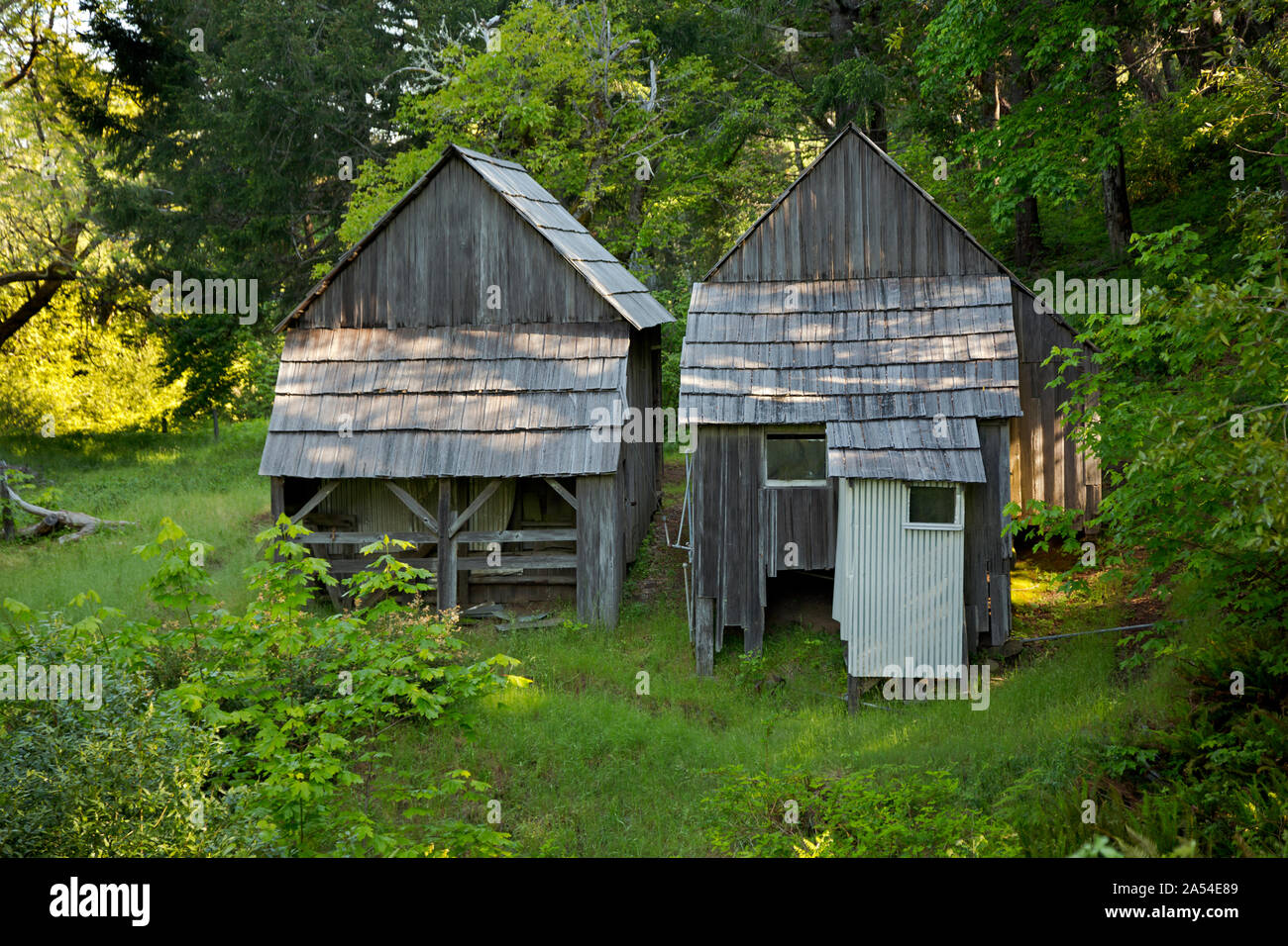 CA03727-00...CALIFORNIA - Old living quarters at historic Lyons Sheep Ranch located in the Bald Hills region of Redwoods National Park. Stock Photo