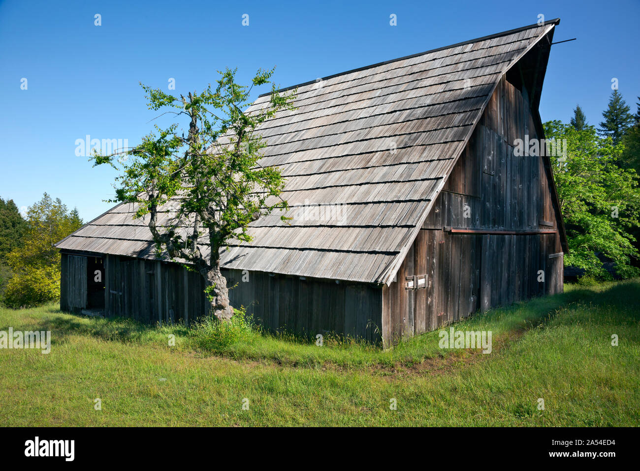 CA03733-00...CALIFORNIA - Barn at historic Lyons Sheep Ranch located in the Bald Hills section of Redwoods National Park. Stock Photo