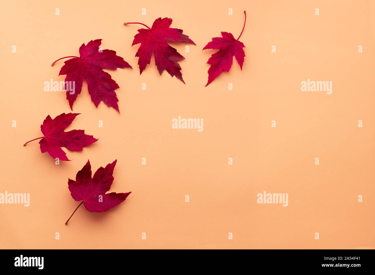 Autumn leaf flat lay composition. Frame from red maple leaves on orange paper background. Autumn concept. Fall leaves design. Top view, copy space Stock Photo