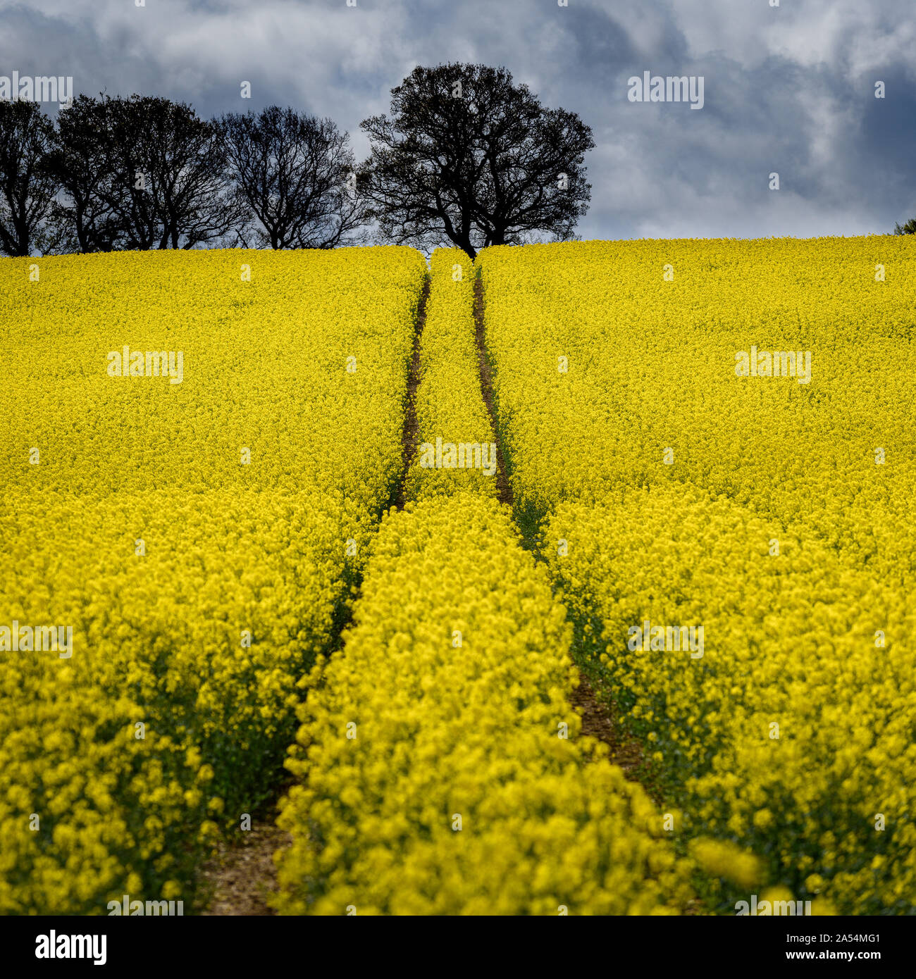 Farringdon hampshire hires stock photography and images Alamy