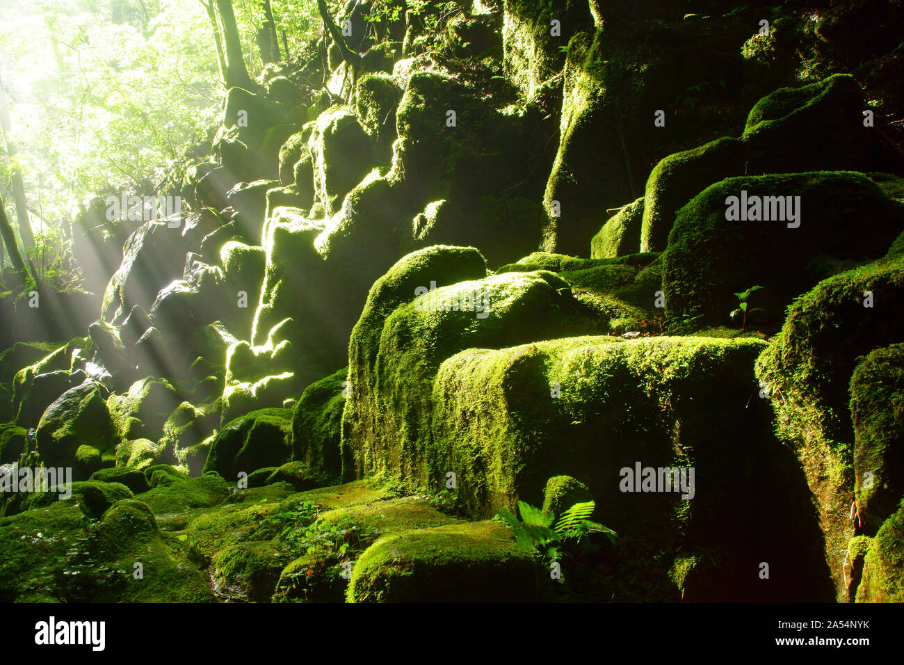 Kikuchi Kumamoto Prefecture, Japan Stock Photo Alamy