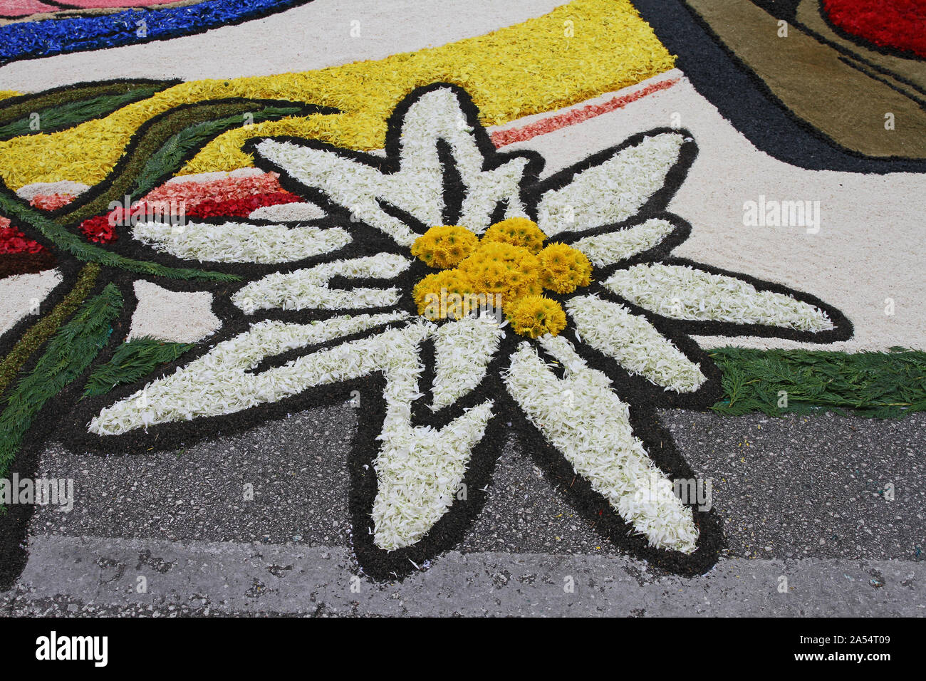 flower petals, grains, rice, beans and seeds close up making a flower