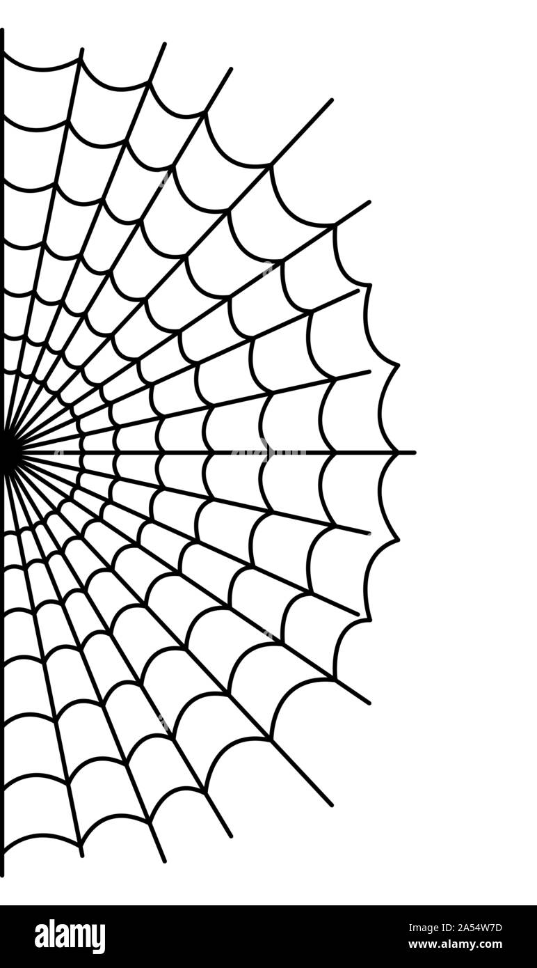 drawing of scary spider web on white background vector illustration