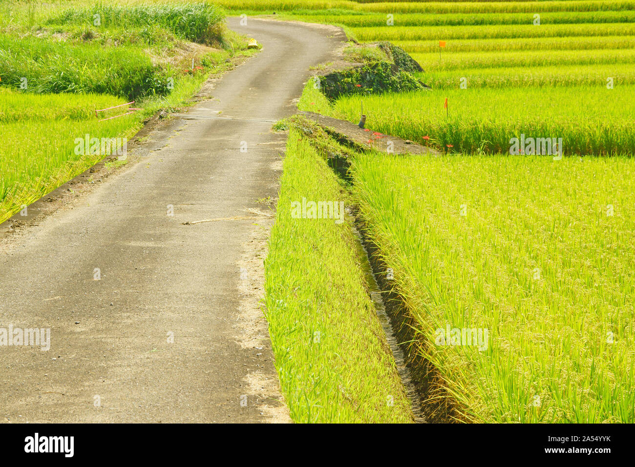 Sunset, Ishigaki Island, Okinawa Prefecture, Japan Stock Photo