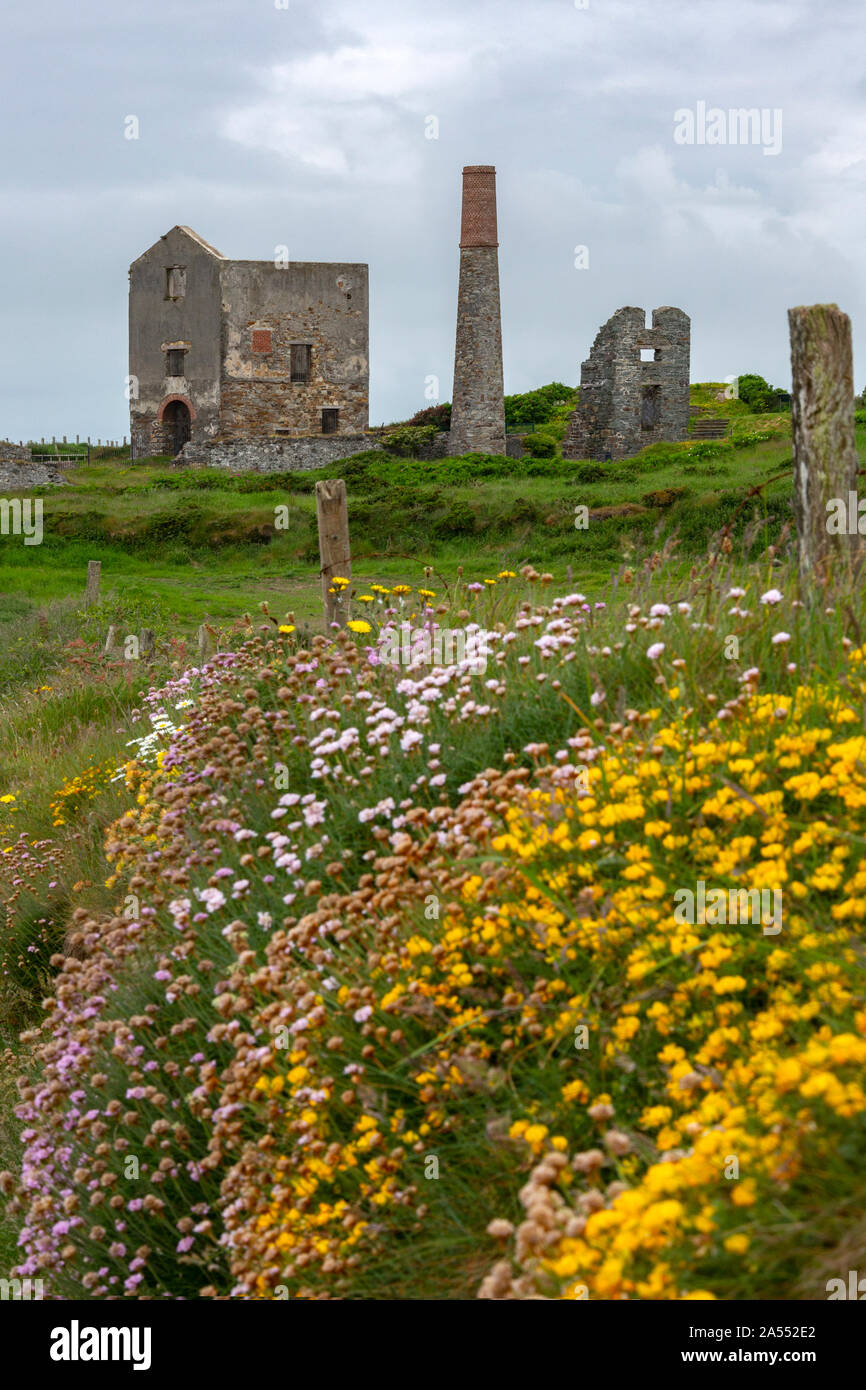 Ruins of an old copper mine engine house on the Copper Coast on the Wild Atlantic Way near Tankardstown on the west coast of the Republic of Ireland. Stock Photo