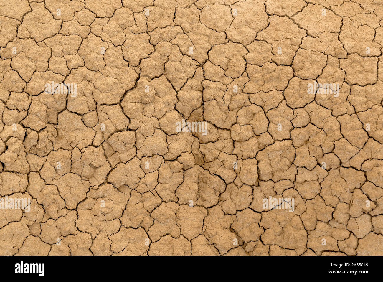 Clay sandy earth parched and cracked Stock Photo