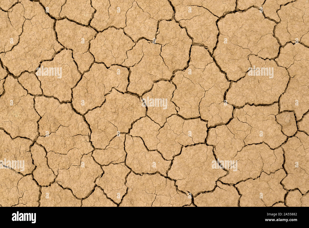 Clay sandy earth parched and cracked Stock Photo