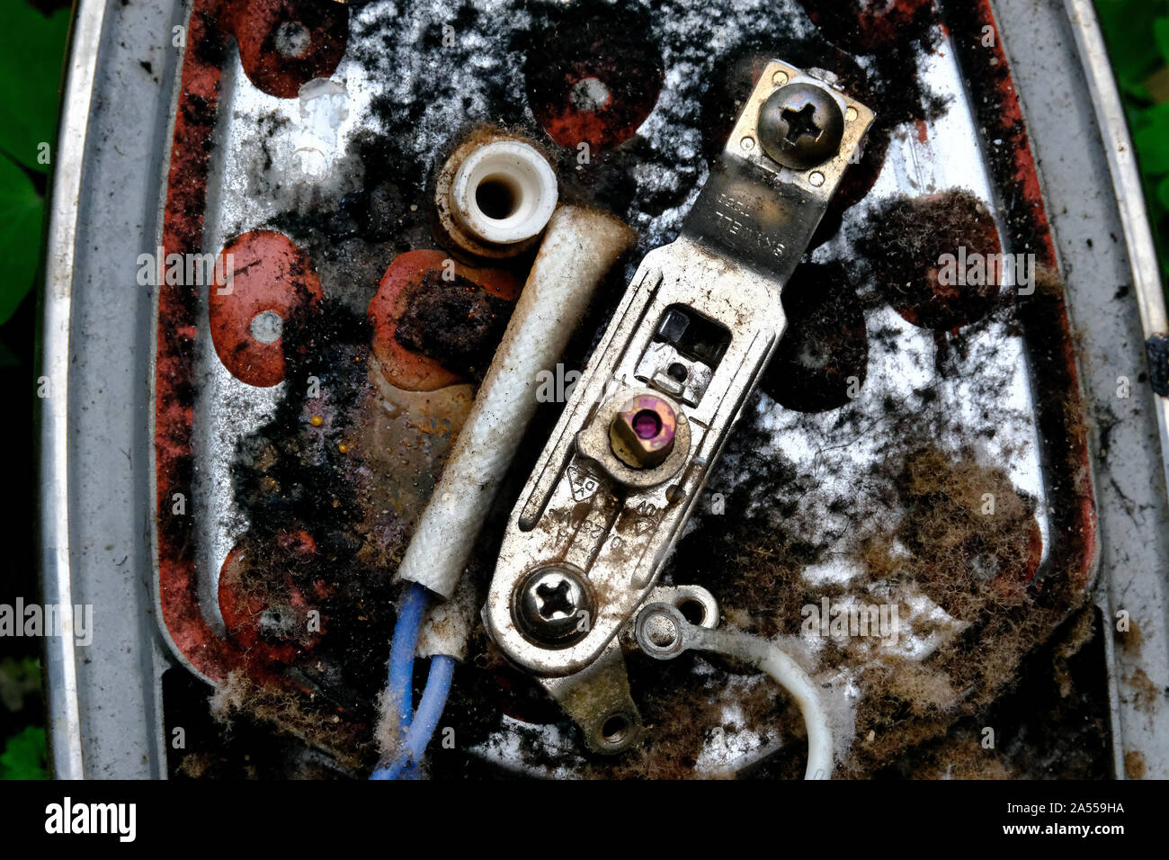 Damage to inside of domestic steam iron due to short circuit from water leak. Stock Photo