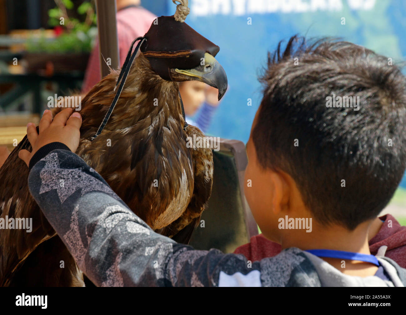 Download Eagle Mask High Resolution Stock Photography And Images Alamy Yellowimages Mockups