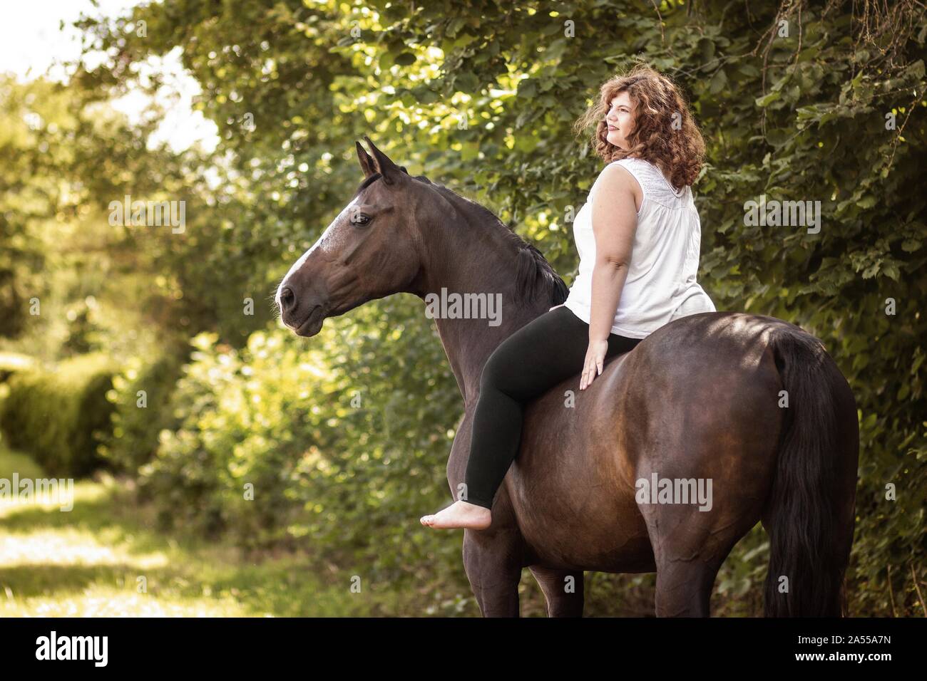 woman rides German Riding Horse Stock Photo