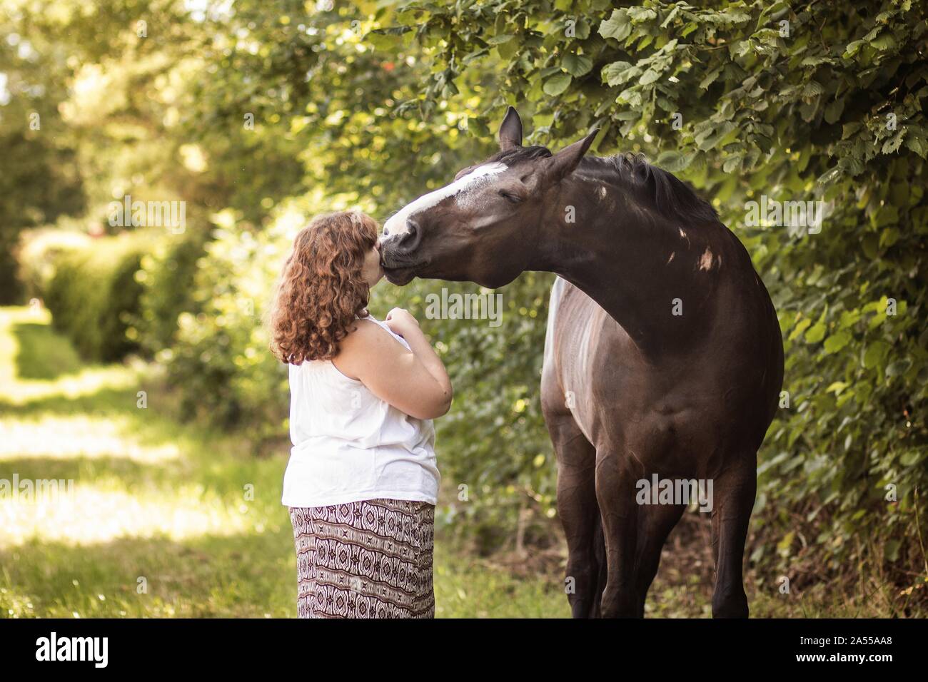 woman and German Riding Horse Stock Photo Alamy