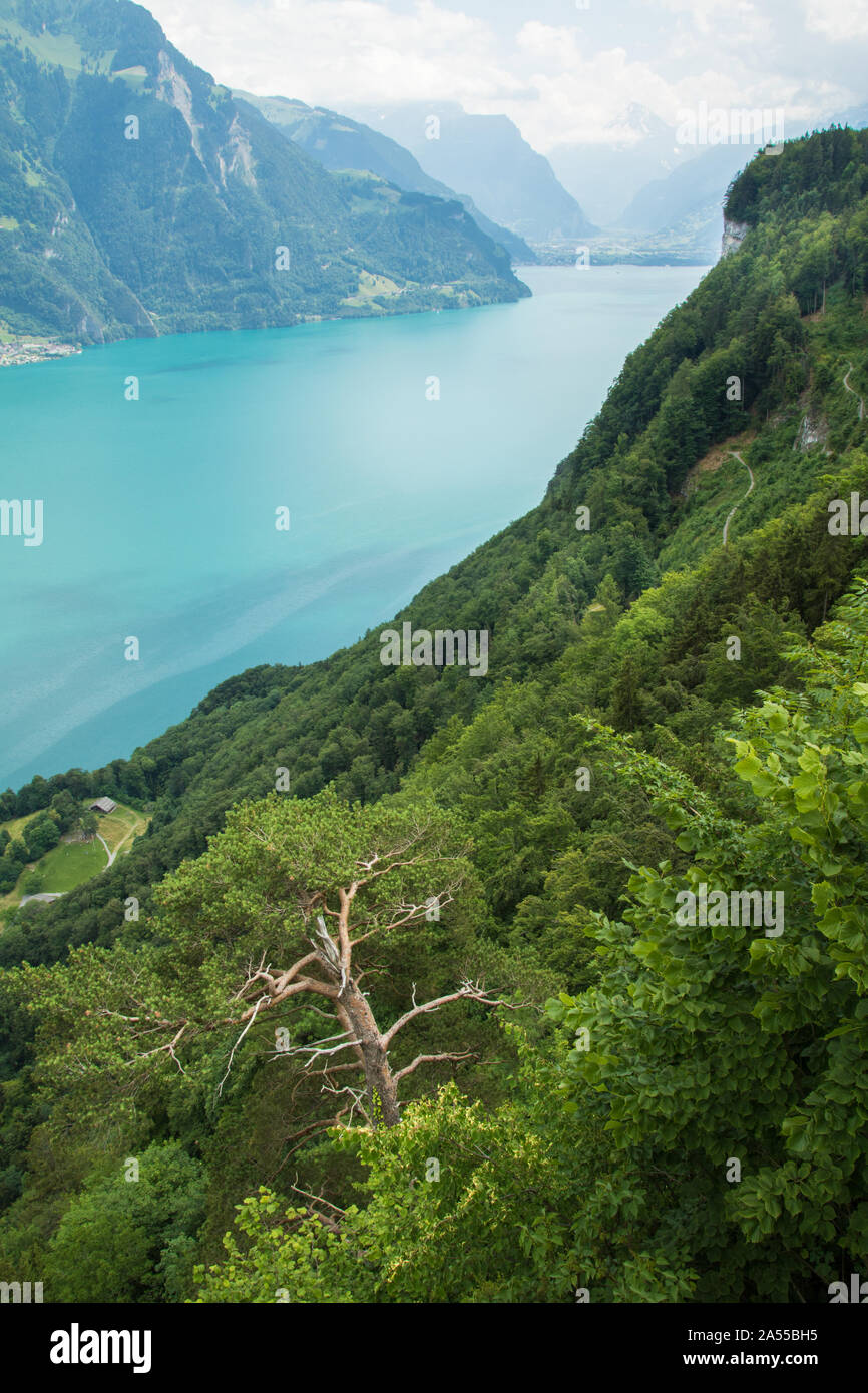 Lake in Swiss Stock Photo - Alamy
