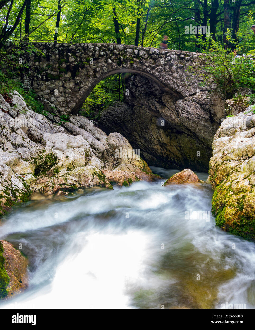 Bridge nearby Slap Savica waterfall Triglav National Park, Slovenia Stock Photo