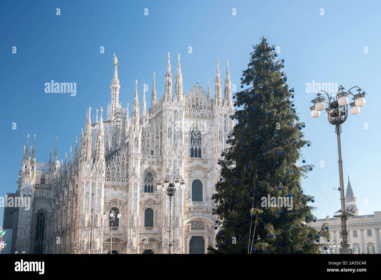 Christmas in Milan. Christmas tree and Milan cathedral in the background in sunny day Stock Photo