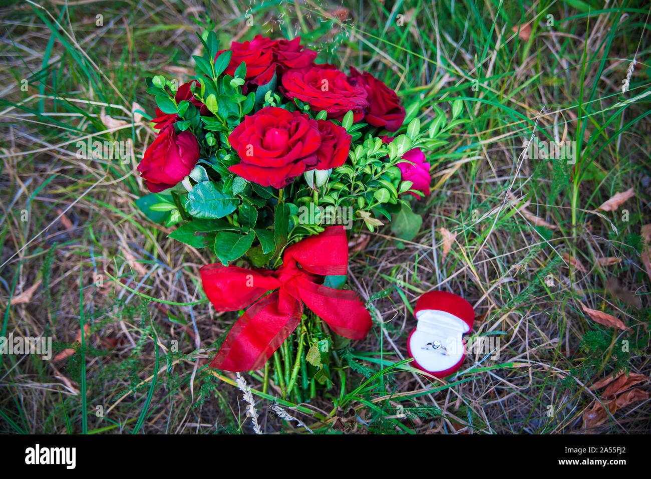 bouquet of red roses and a ring in the grass Stock Photo - Alamy