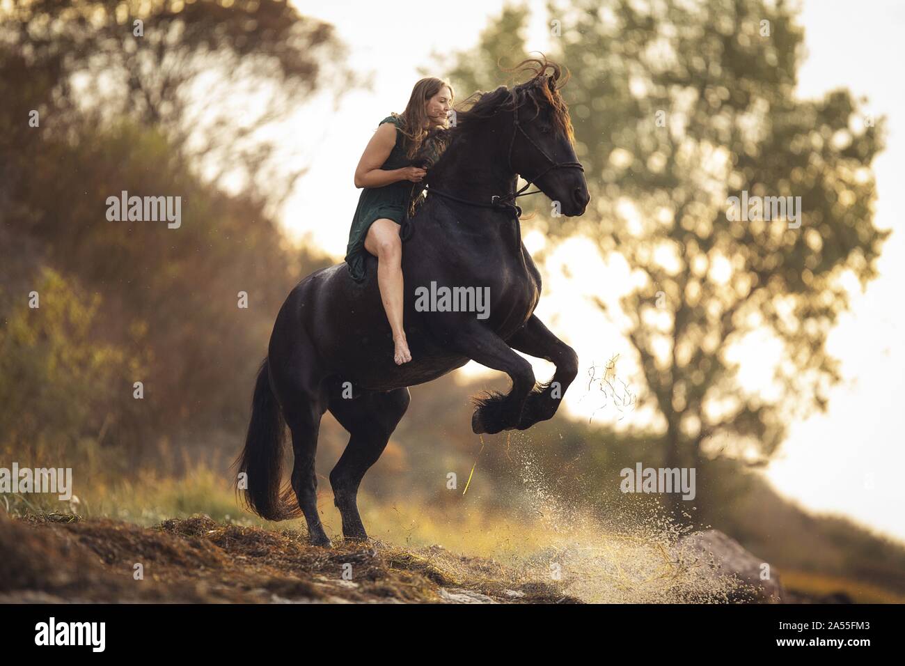 woman with horse Stock Photo