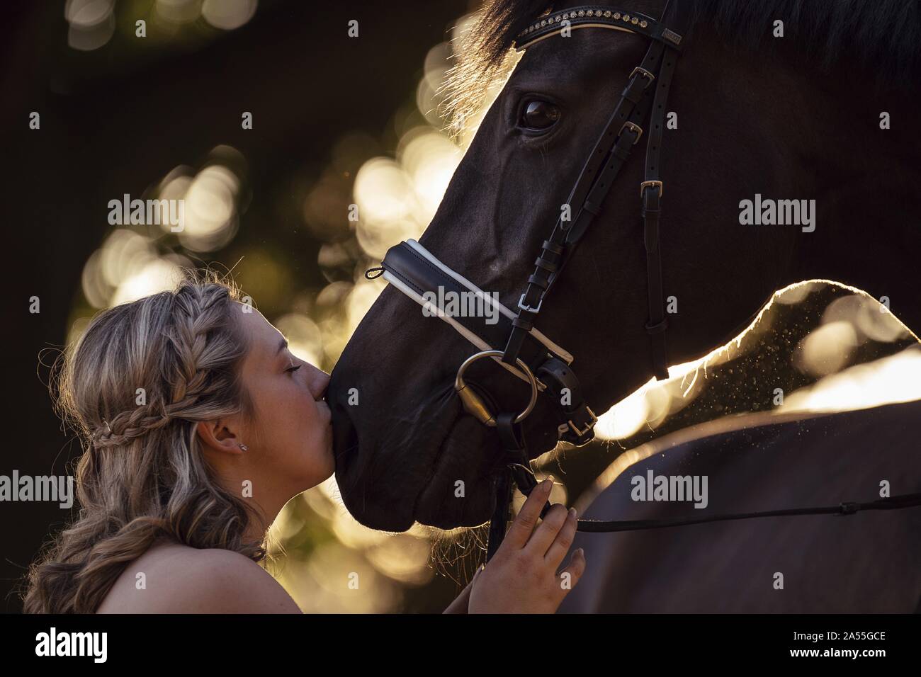 woman with english thoroughbred Stock Photo
