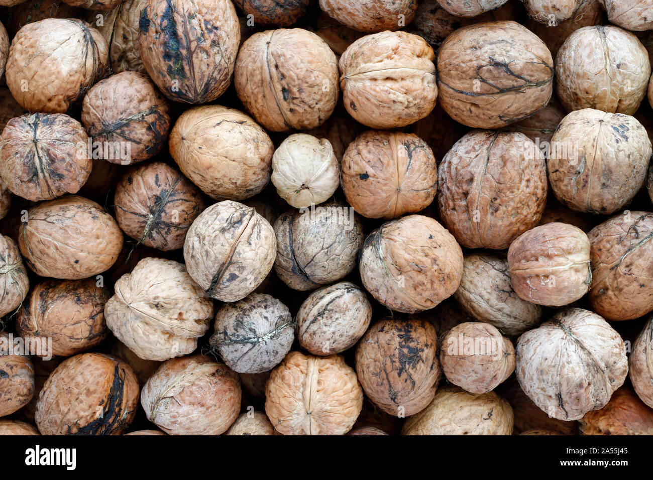 Heap of walnuts - autumn fruits Stock Photo