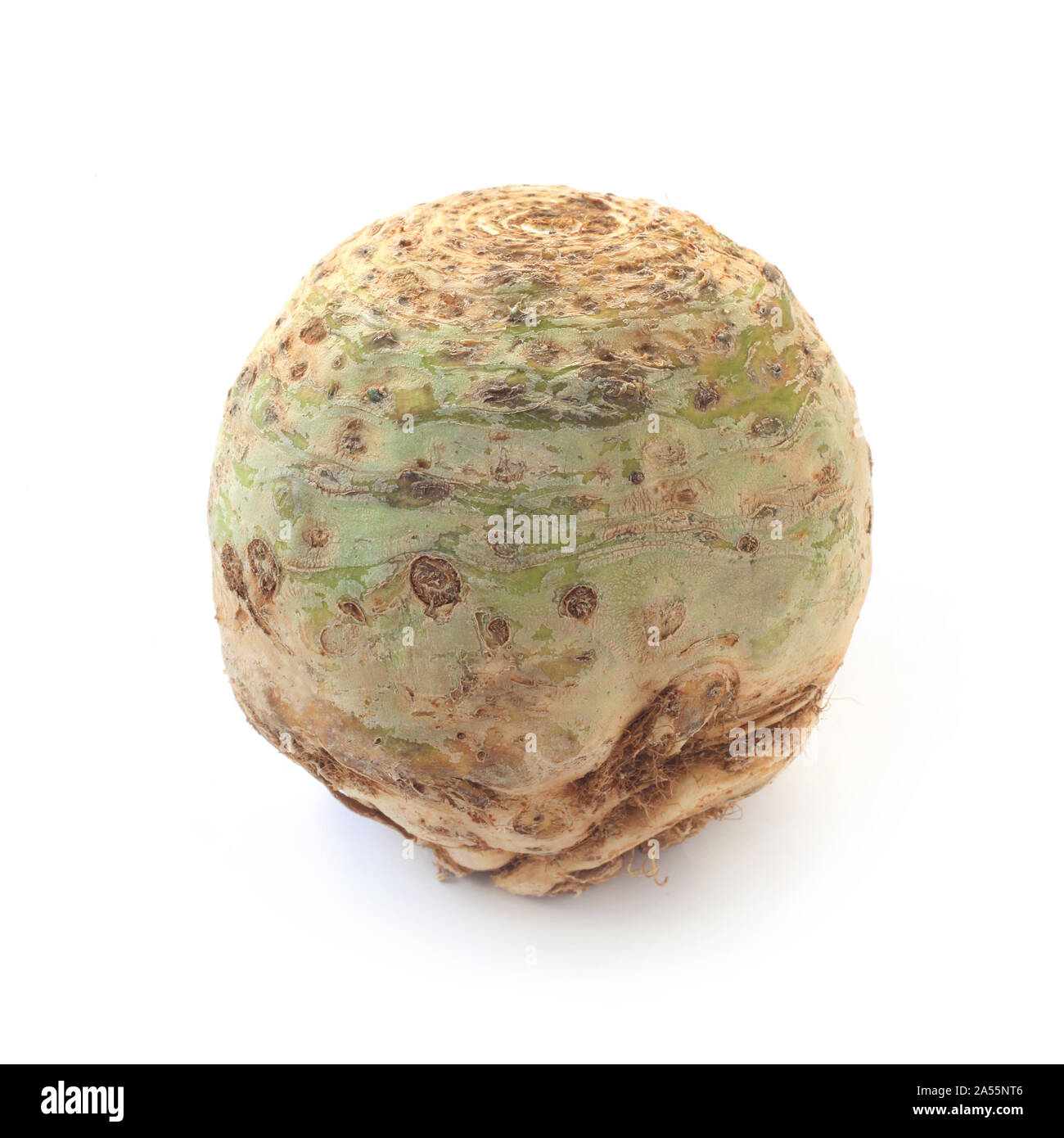 Knob Celery Isolated On White Stock Photo Alamy