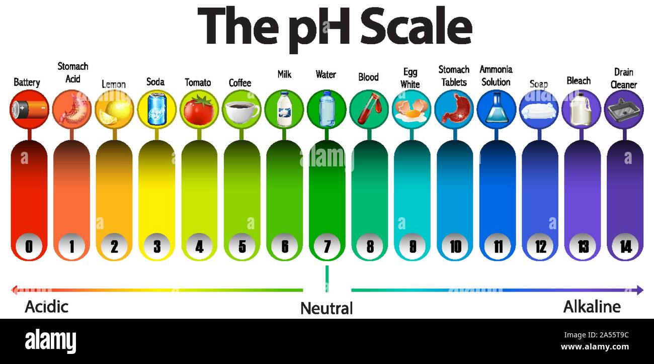 The pH scale on white background illustration Stock Vector Image & Art