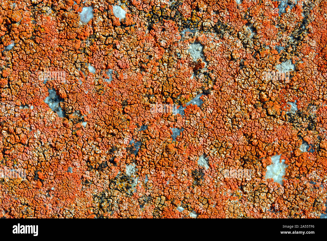 Yellow rough concrele surface close up detail, grunge horizontal shabby background Stock Photo