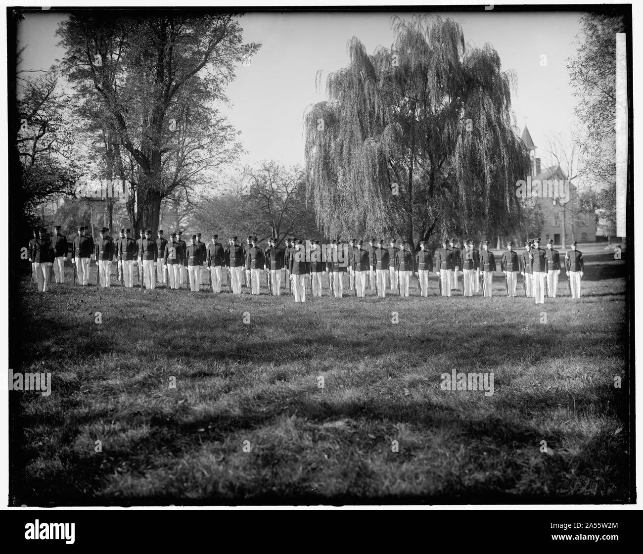 Company members Cut Out Stock Images & Pictures - Alamy